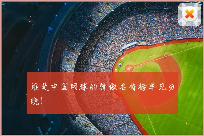 谁是中国网球的骄傲名将榜单见分晓！