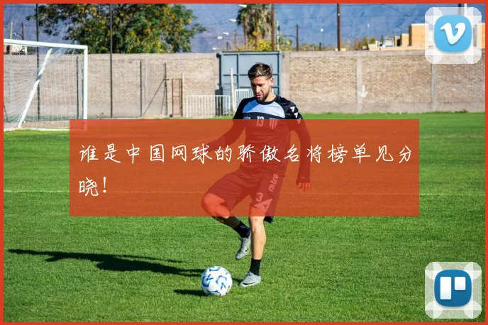 谁是中国网球的骄傲名将榜单见分晓!
